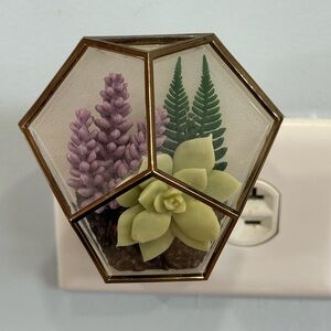 Bath and Body Works Succulent Terrarium Wallflower Fragrance Plug